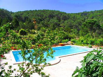 Pool und gepflegter Garten Pool und gepflegter Garten