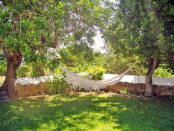 Garten der Finca Garten der Finca