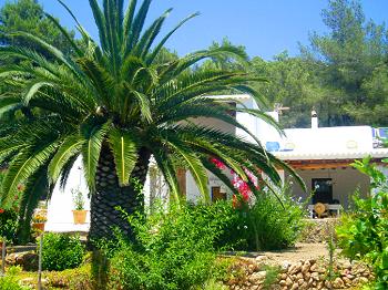Private Finca für 4 Personen
