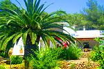 Private Finca an der Cala Jondal Private Finca an der Cala Jondal