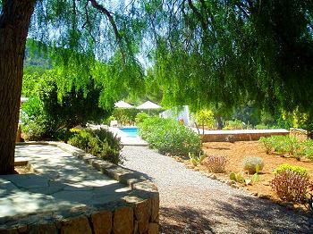 Garten mit Blick zum Pool Garten mit Blick zum Pool