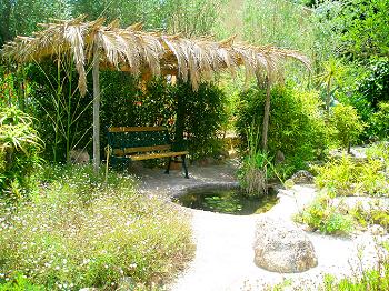 Gartenteich mit Sitzecke