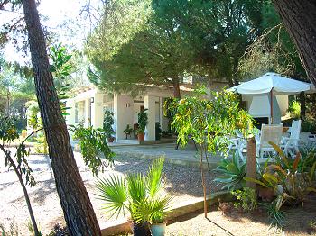Großes Ferienhaus mit Terrasse Großes Ferienhaus mit Terrasse