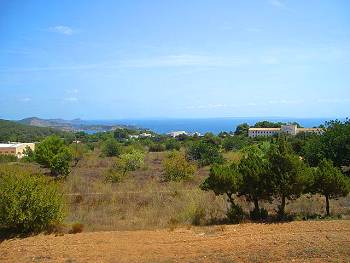 Blick von der Terrasse