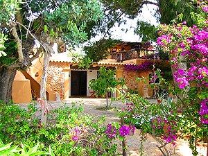 Doppelzimmer und Studio in der Finca auf Ibiza