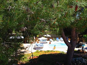 Doppelzimmer und Studio in einer Finca auf Ibiza