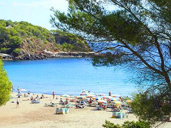 Strand der Cala Llenya Strand der Cala Llenya