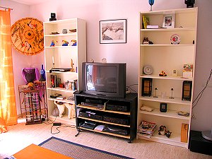 Sie verf&uuml;gen &uuml;ber SAT-TV im Apartment