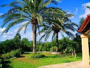 Familienurlaub auf Ibiza 