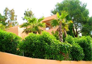Villa Ibiza Villa Ibiza