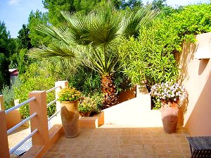 Villa Ibiza Villa Ibiza
