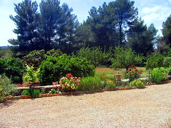 Garten mit Obstbäumen und Blühpflanzen