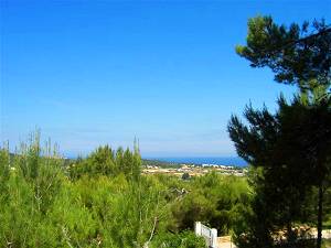 Der Blick reicht bis ans Meer zur Cala Bassa