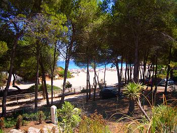 Strandurlaub an der Cala Llenya Strandurlaub an der Cala Llenya