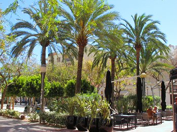 Ferienwohnung Ibiza Stadt - Plaza de la Parc Ferienwohnung Ibiza Stadt - Plaza de la Parc