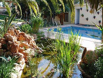 Pool und Teich der Gartenanlage Pool und Teich der Gartenanlage