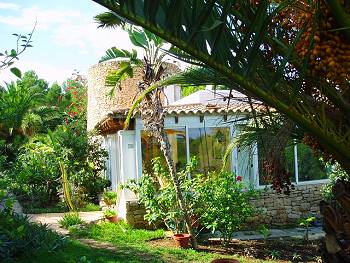Garten mit mit subtropischen Pflanzen