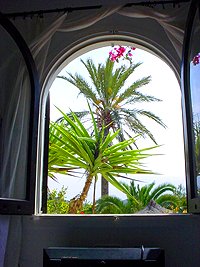 Fenster zum Garten