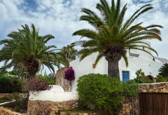 Ibizenkische Finca mit Pool und großem Gartengrundstück (Nr. 0192)