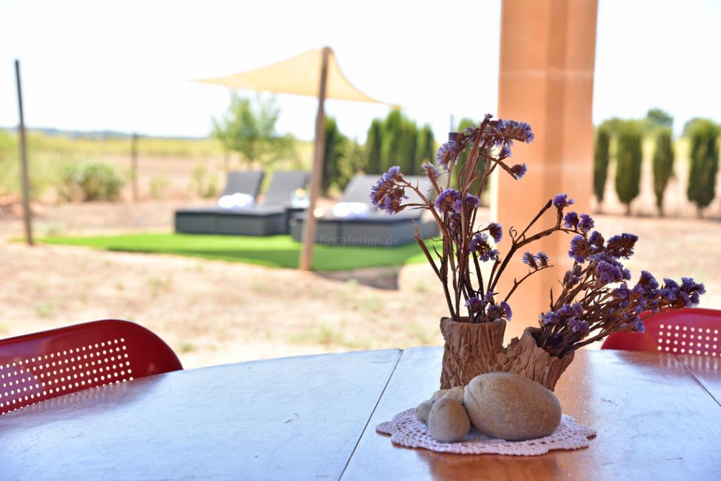 Mallorca: Kleines Ferienhaus nahe dem Es Trenc Strand (Ferienhaus 3076