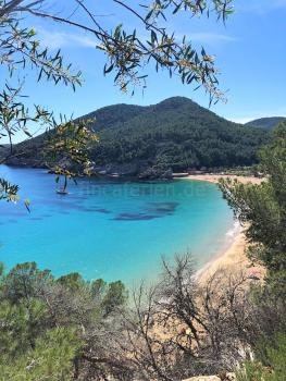 Ferienwohnung an der Cala Vicente