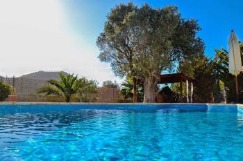 Pool und gepflegter Garten 