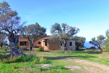 Finca bei Deia an der Westküste