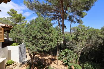 Gartenblick von der Terrasse