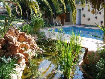 Pool und Teich der Gartenanlage Pool und Teich der Gartenanlage